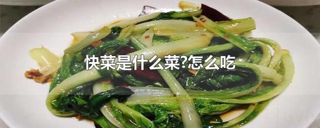 快菜是什么菜?怎么吃