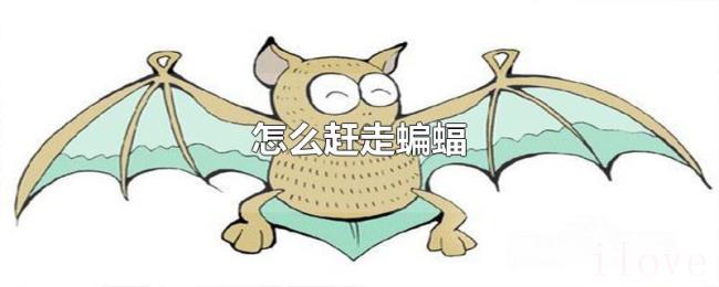 怎么赶走蝙蝠