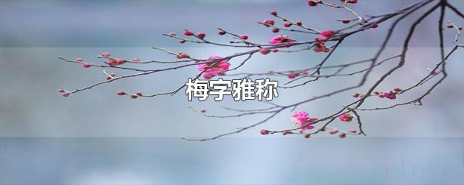 梅字雅称 梅字雅称
