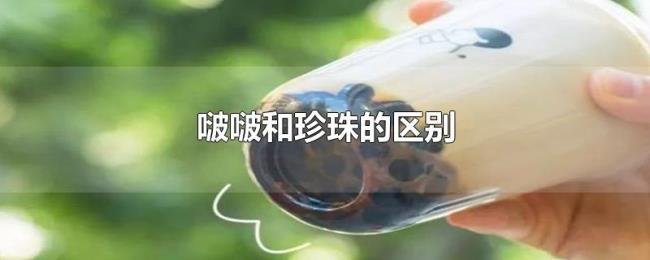 啵啵和珍珠的区别 啵啵和珍珠的区别