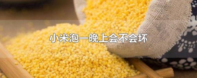 小米泡一晚上会不会坏