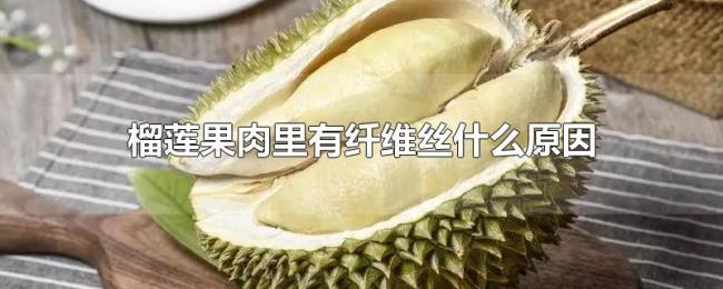 榴莲果肉里有纤维丝什么原因