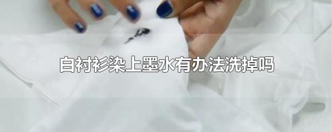 白衬衫染上墨水有办法洗掉吗 白衬衫染上墨水有办法洗掉吗