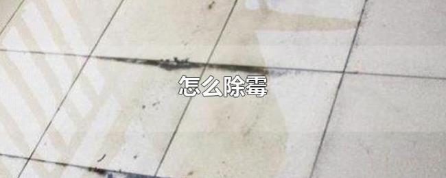 怎么除霉 怎么除霉