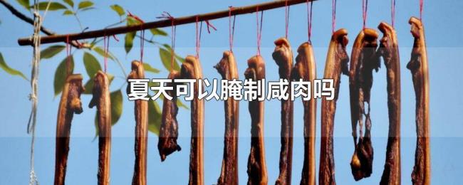 夏天可以腌制咸肉吗