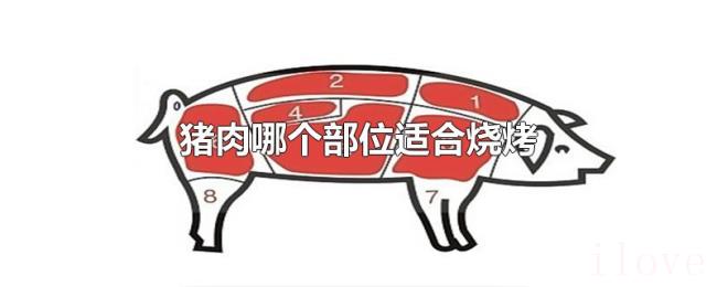 猪肉哪个部位适合烧烤 猪肉哪个部位适合烧烤