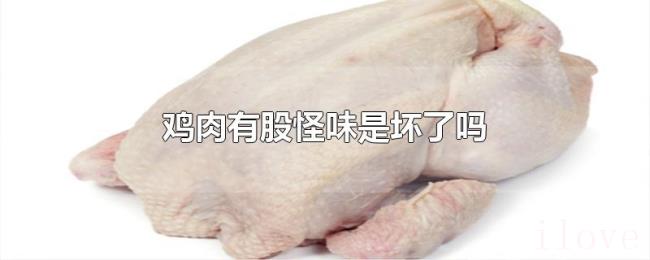 鸡肉有股怪味是坏了吗