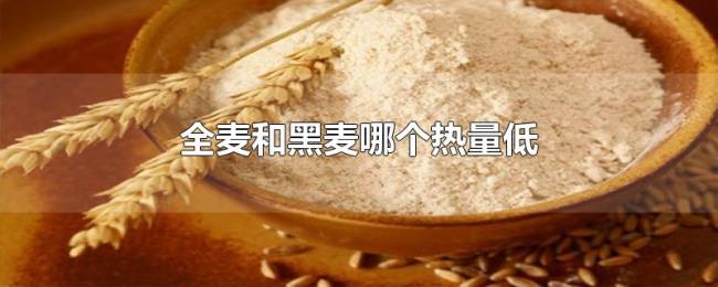 全麦和黑麦哪个热量低