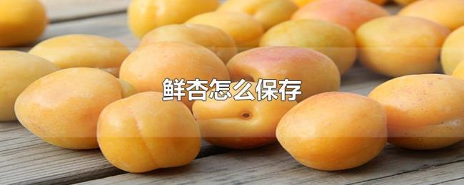 鲜杏怎么保存 鲜杏怎么保存
