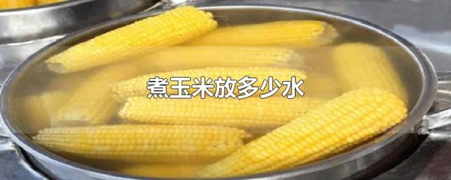 煮玉米放多少水