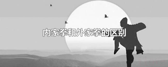 内家拳和外家拳的区别 内家拳和外家拳的区别