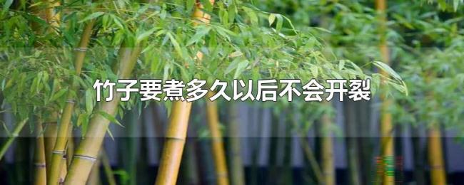 竹子要煮多久以后不会开裂
