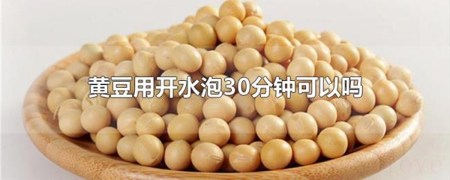 黄豆用开水泡30分钟可以吗