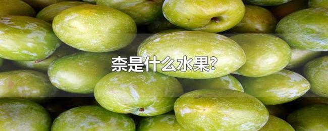 柰是什么水果?