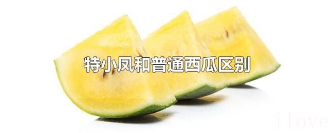 特小凤和普通西瓜区别 特小凤和普通西瓜区别