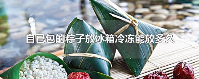 自己包的粽子放冰箱冷冻能放多久