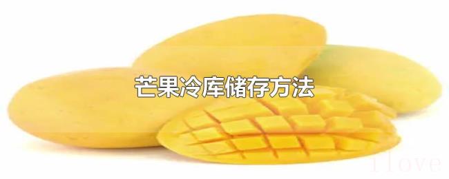 芒果冷库储存方法