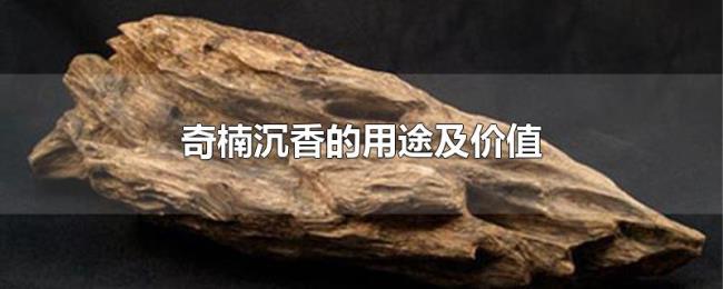 奇楠沉香的用途及价值 奇楠沉香的用途及价值