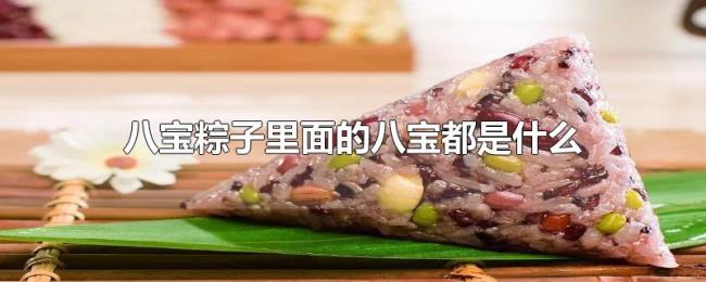 八宝粽子里面的八宝都是什么
