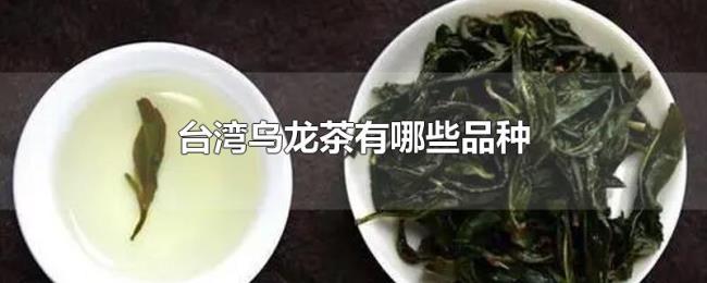 台湾乌龙茶有哪些品种