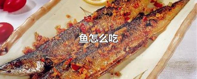 鱼怎么吃 鱼怎么吃