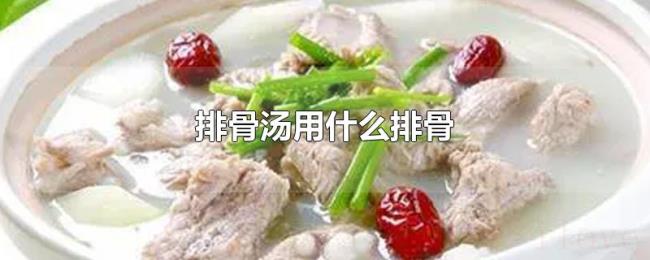 排骨汤用什么排骨 排骨汤用什么排骨
