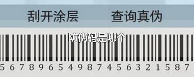 防伪码是哪个