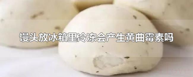 馒头放冰箱里冷冻会产生黄曲霉素吗 馒头放冰箱里冷冻会产生黄曲霉素吗
