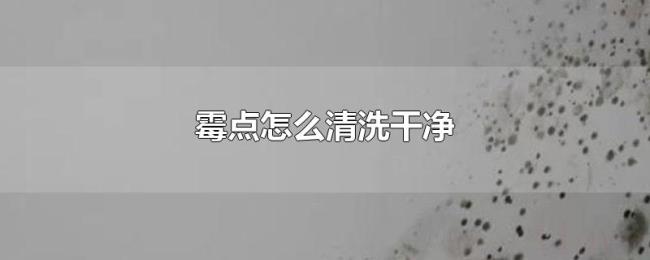 霉点怎么清洗干净 霉点怎么清洗干净