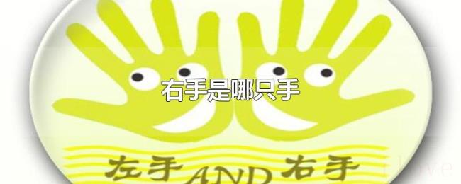 右手是哪只手 右手是哪只手