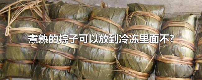 煮熟的粽子可以放到冷冻里面不?