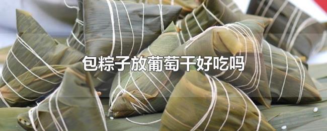 包粽子放葡萄干好吃吗 包粽子放葡萄干好吃吗