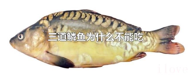 三道鳞鱼为什么不能吃 三道鳞鱼为什么不能吃