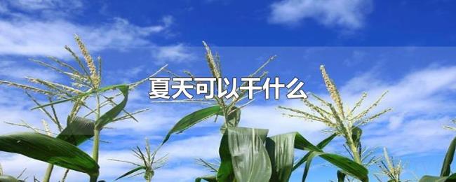夏天可以干什么 夏天可以干什么