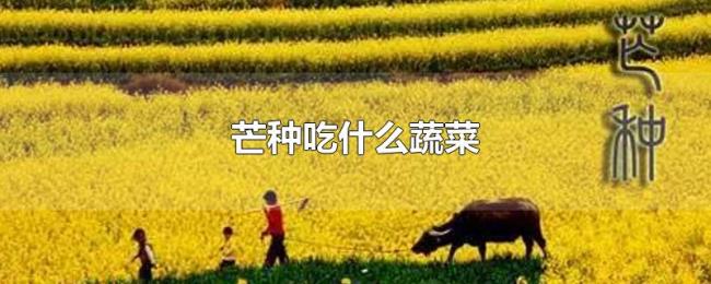 芒种吃什么蔬菜 芒种吃什么蔬菜