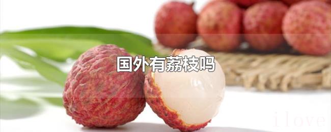 国外有荔枝吗 国外有荔枝吗