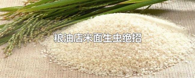 粮油店米面生虫绝招 粮油店米面生虫绝招