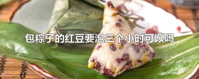 包粽子的红豆要泡三个小时可以吗 包粽子的红豆要泡三个小时可以吗