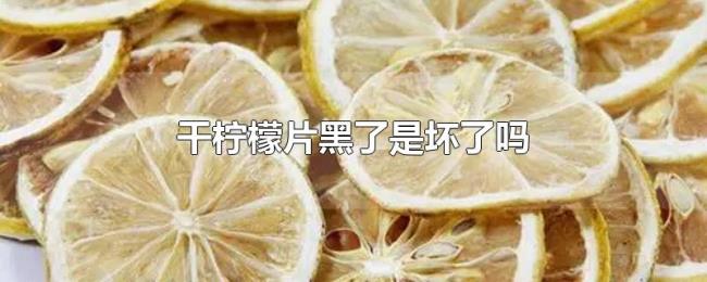 干柠檬片黑了是坏了吗 干柠檬片黑了是坏了吗