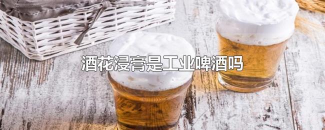 酒花浸膏是工业啤酒吗 酒花浸膏是工业啤酒吗