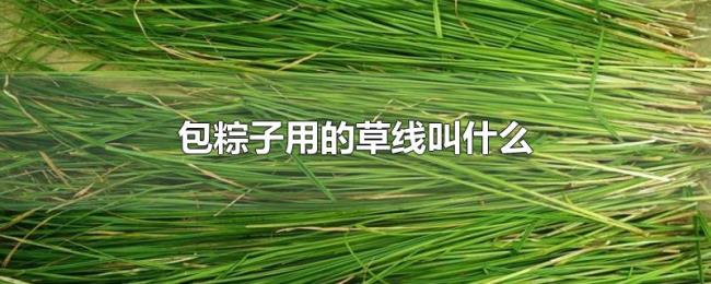 包粽子用的草线叫什么 包粽子用的草线叫什么