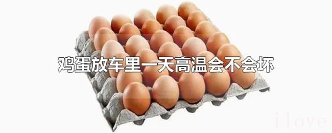 鸡蛋放车里一天高温会不会坏 鸡蛋放车里一天高温会不会坏