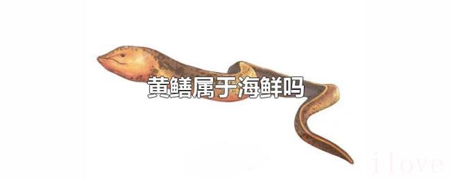 黄鳝属于海鲜吗 黄鳝属于海鲜吗
