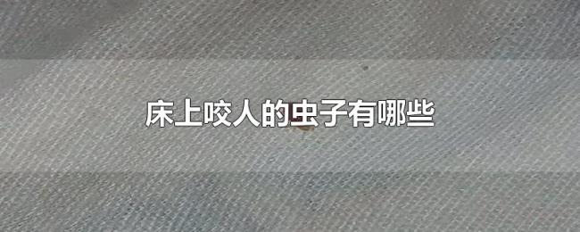 床上咬人的虫子有哪些 床上咬人的虫子有哪些