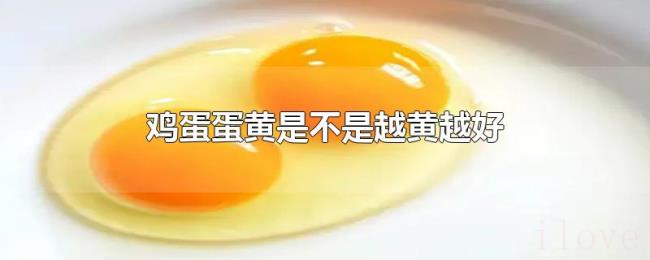鸡蛋蛋黄是不是越黄越好 鸡蛋蛋黄是不是越黄越好