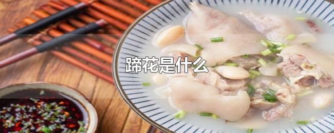 蹄花是什么 蹄花是什么