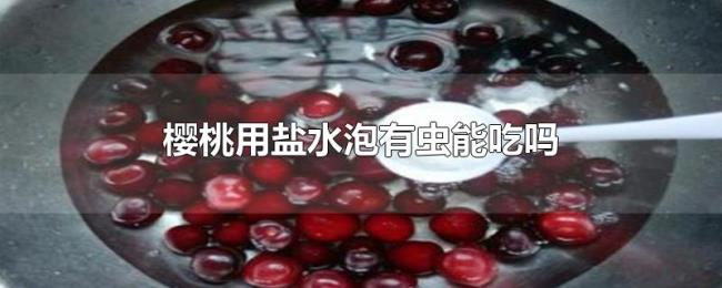 樱桃用盐水泡有虫能吃吗 樱桃用盐水泡有虫能吃吗