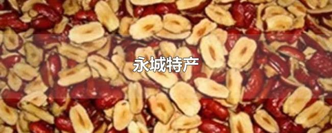 永城特产