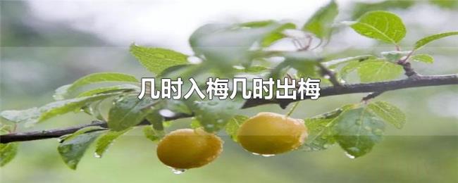 几时入梅几时出梅 几时入梅几时出梅