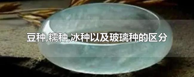 豆种,糯种,冰种以及玻璃种的区分 豆种,糯种,冰种以及玻璃种的区分